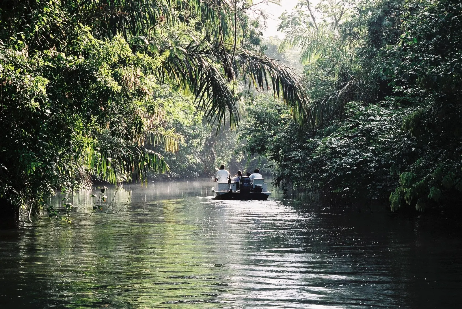 Tortuguero